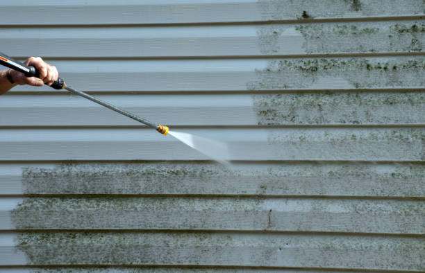 Best Pressure Washing Services for Businesses  in Vla Grove, IL