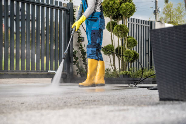 Best House Pressure Washing  in Vla Grove, IL