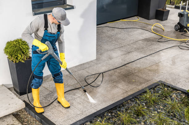 Best Pressure Washing Company Near Me  in Vla Grove, IL